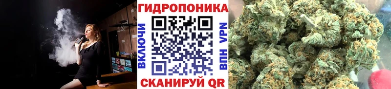 Бошки Шишки индика Кола